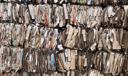 Quanto è circolare l’industria cartaria in Italia? Riciclo e politica industriale nel nuovo rapporto ambientale del settore