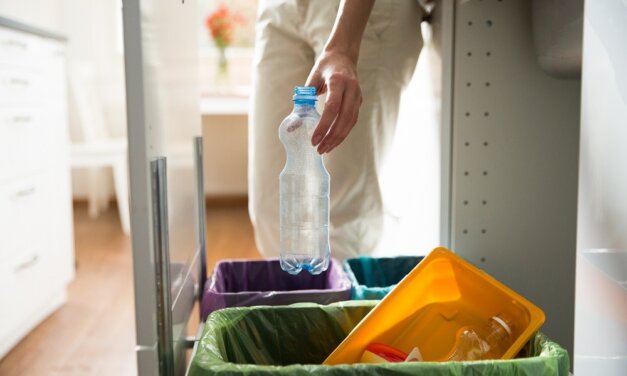 Economia circolare per le etichette, nasce CELAB-Europe: chi ne fa parte e quali sono gli obiettivi