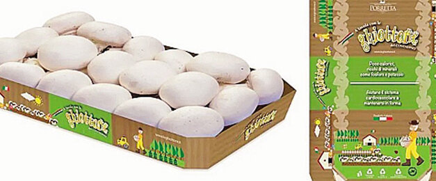 Smurfit Kappa Italia tra le Top 20 aziende per l’eco-design secondo Conai