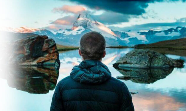 L’offerta di carte certificate Cradle to Cradle® distribuite da Polyedra