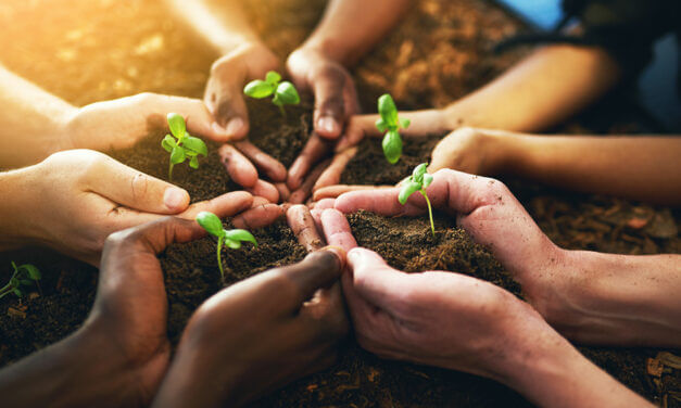 Sostenibilità: per Ricoh giugno è il “Global SDGs Action Month”