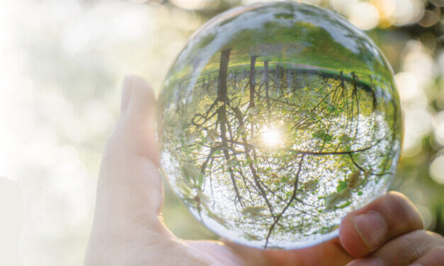 Abbiamo messo in copertina ACE DRY, il nuovo film eco-friendly di Mag Data