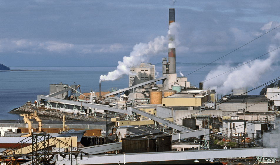 A rischio l’80% delle attività dell’industria cartaria