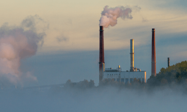 L’industria della carta al bivio