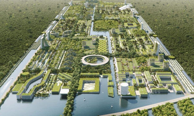 Spopolano i boschi aziendali