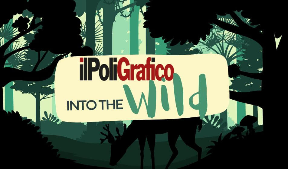 Il Poligrafico vi porta INTO THE WILD