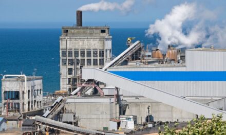 Presentate al Parlamento Europeo, le nuove tecnologie per ridurre la CO2 nella produzione cartaria