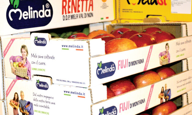 Stampa di dati variabilie il potenziale del Web2Pack