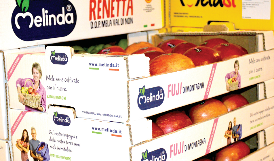 Stampa di dati variabilie il potenziale del Web2Pack