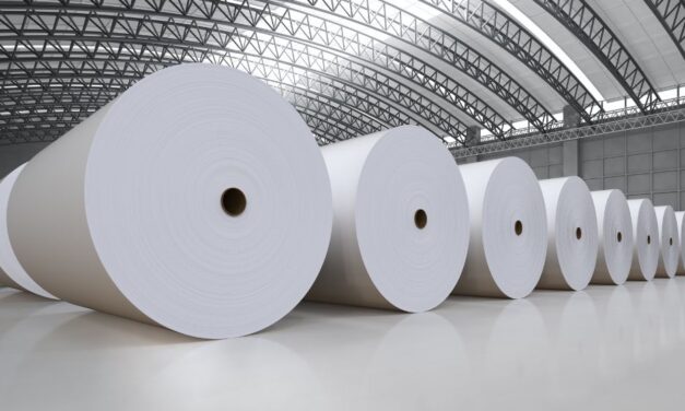 Settore cartario: produzione in lieve crescita