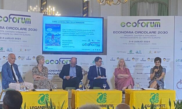 DL Materie Prime Critiche