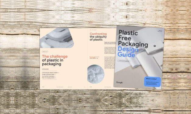 Google e la scelta delle confezioni sostenibili: un passo verso il futuro green