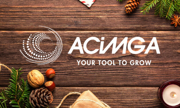 Imprese Acimga: il 2024 si conferma stazionario, in lieve rialzo il fatturato