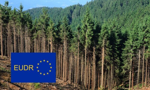 EUDR secondo Federazione Carta e Grafica: bene il Tavolo con il ministro Lollobrigida