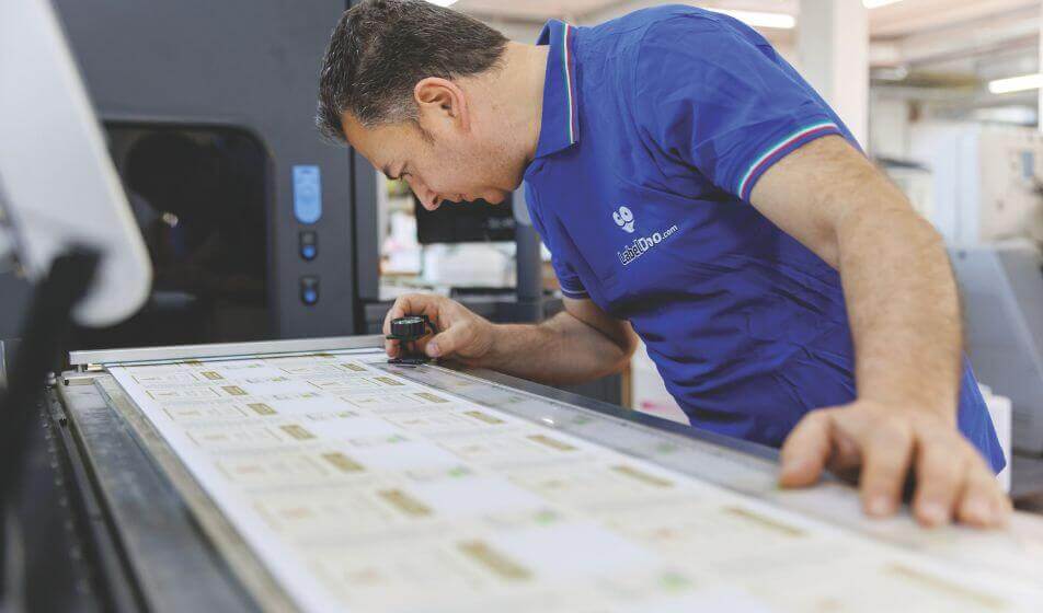 Grafica Isernina: innovazione e competenza per un futuro di continua crescita