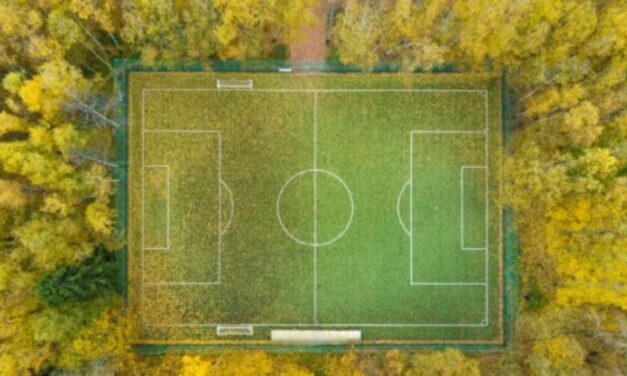 I consumatori non conoscono le vere cause della deforestazione, secondo Two Sides