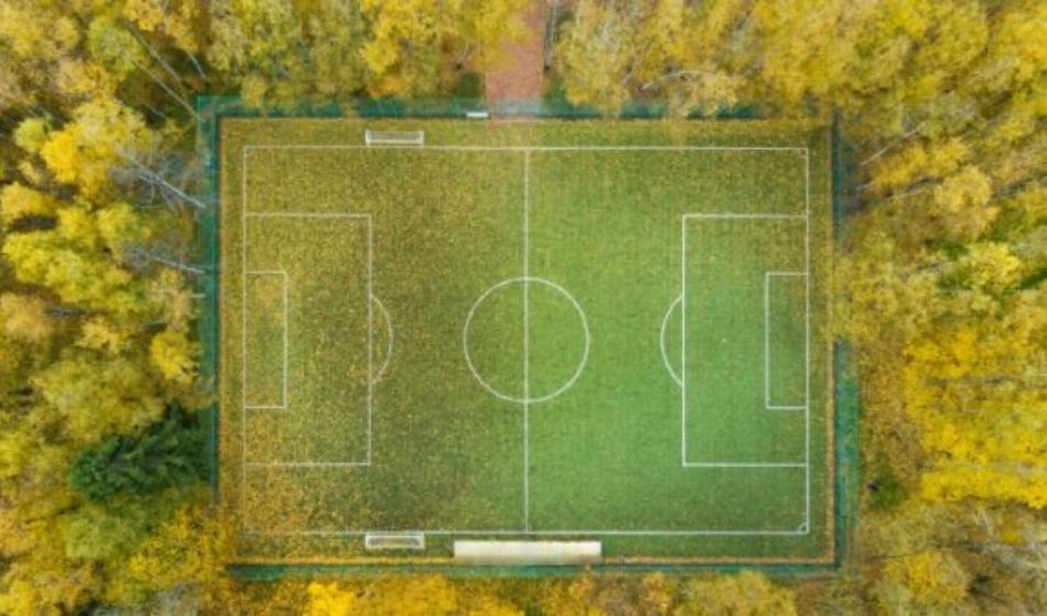 I consumatori non conoscono le vere cause della deforestazione, secondo Two Sides