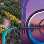 Sappi pubblica i nuovi Report 2025