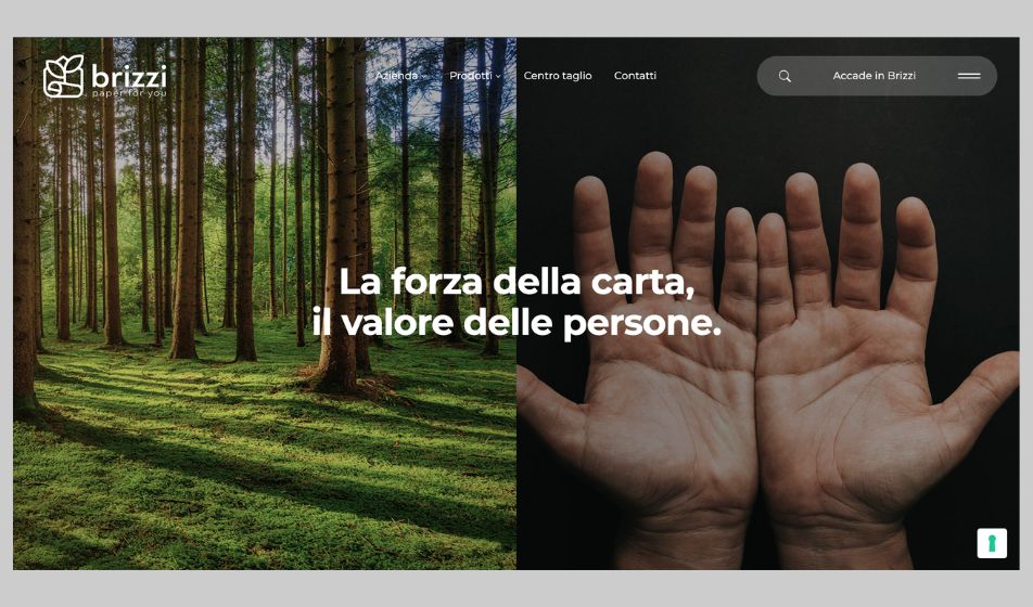 Nuovo sito web per Brizzi Distribuzione